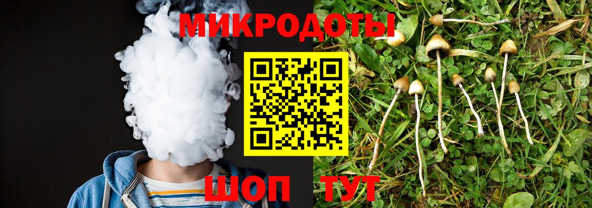 Юрга  сколько стоит  Вход с VPN  Галлюциногенные грибы мицелий 