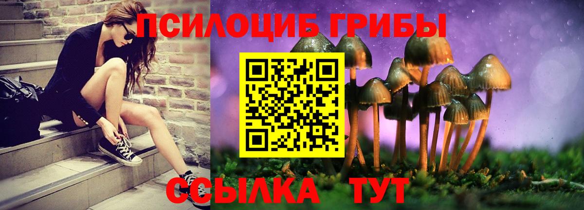 Галлюциногенные грибы GOLDEN TEACHER Юрга