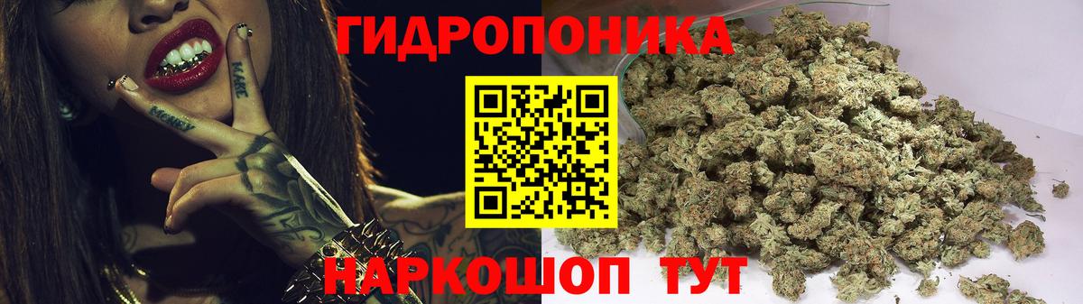 Шишки марихуана семена Юрга